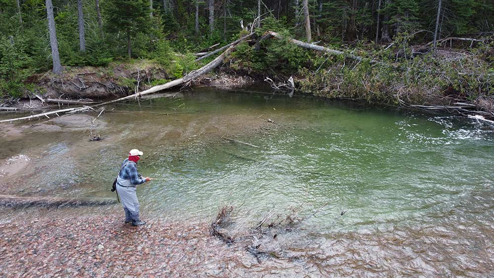 fly fishing in a river