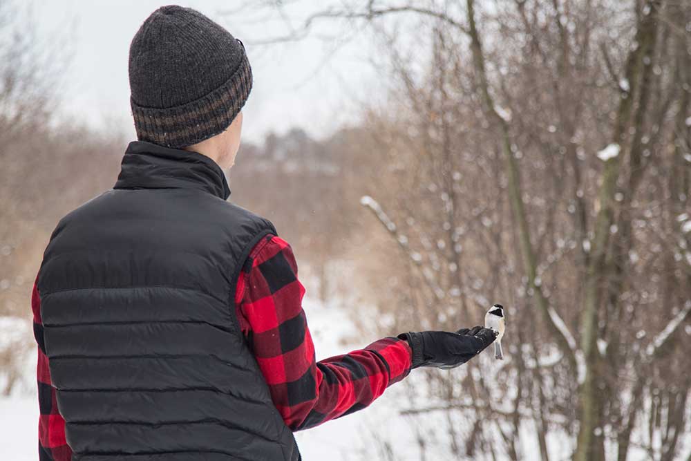 winter bird whitefish island