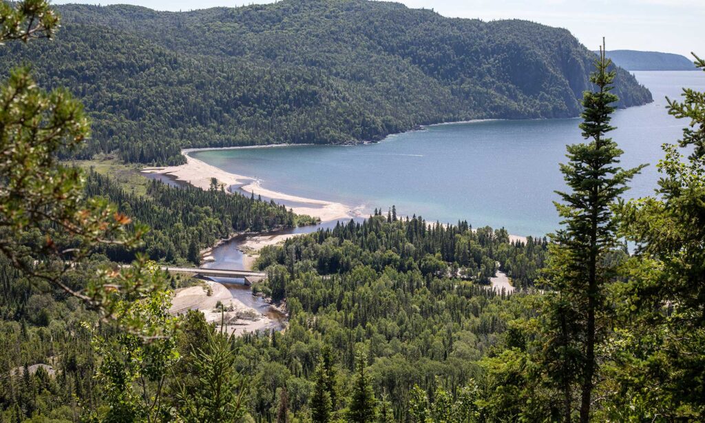 mlortz-nokomistraillspp