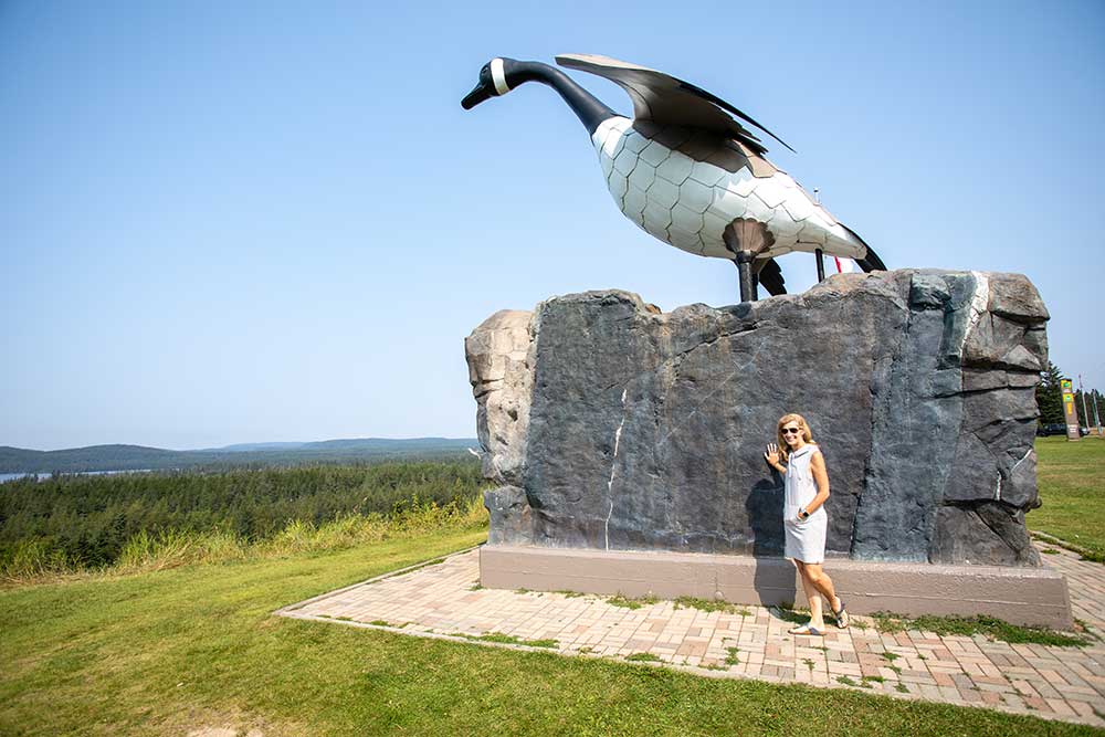 wawa goose monument
