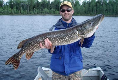 hearst-air-service-ad-4