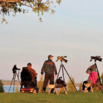 World Migratory Bird Day at Fort St. Joseph