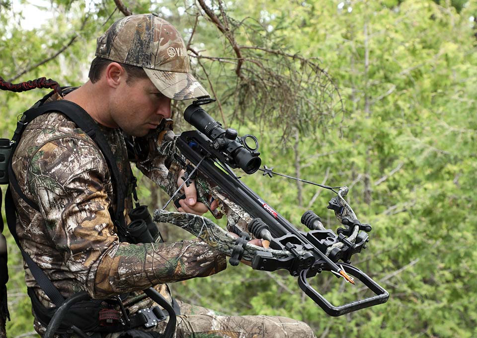 bear-hunting-photo-2