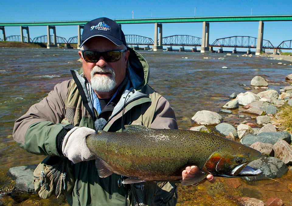 st-marys-river-salmon2