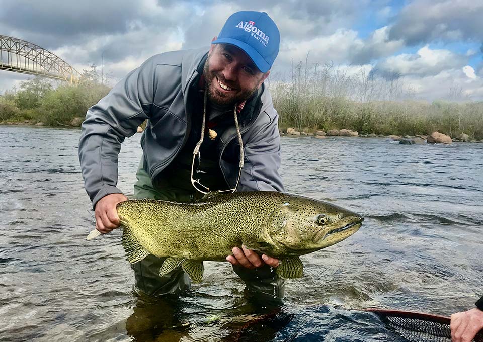 st-marys-river-salmon3