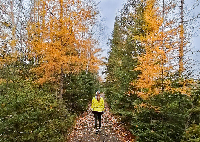 Bruce Mines Historic Mines Trail