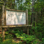Foster Parkland and Walking Trails