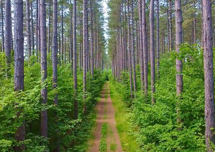 Hiawatha Highlands