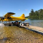 Timber Wolf Air Service