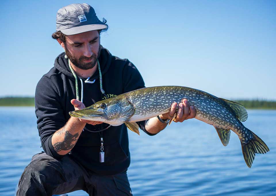 white-river-northernpikefishing