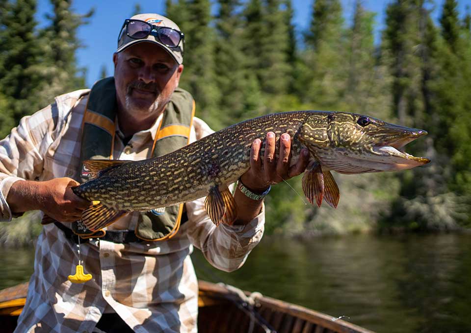 nakina-northern-pike